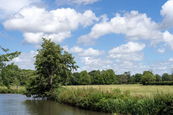 Barcombe East Sussex June 2022 River Ouse Barcombe Summer Day — 图库照片