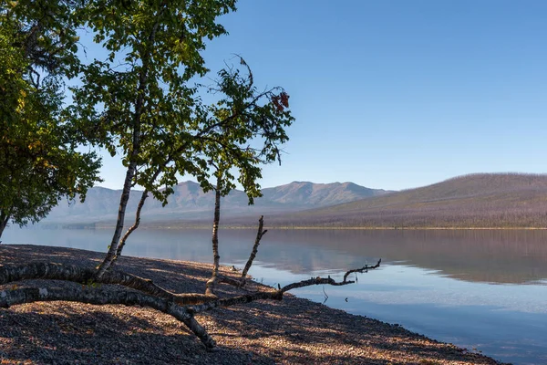 Vista Lago Mcdonald Montana — Fotografia de Stock