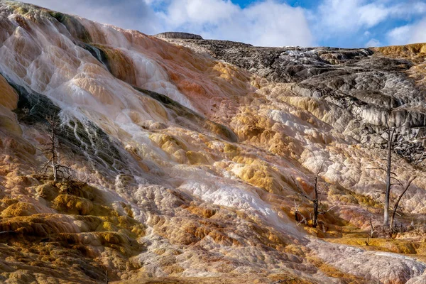 Mamut Hot Springs Parque Nacional Yellowstone —  Fotos de Stock