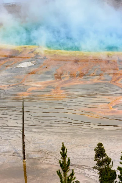 Grand Prismatic Spring Yellowstone National Park — Stock Photo, Image