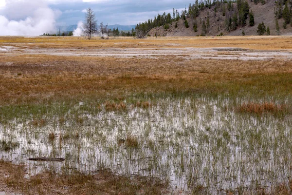 Grand Prismatic Spring Yellowstone Nationalpark — Stockfoto