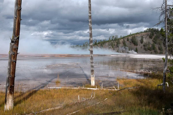 Dead Trees Bobby Socks Grand Prismatic Spring Yellowstone — Stockfoto