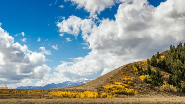 Naturskön Utsikt Över Landskapet Runt Grand Teton National Park — Stockfoto