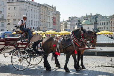 Krakow, Poland - September 19 : Carriage and Horses in among the traffic in Krakow, Poland on September 19, 2014. Unidentified people
