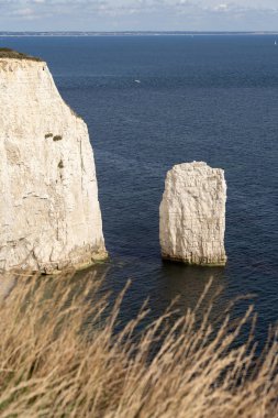 Dorset 'teki Purbeck Adası' ndaki Handfast Point 'teki Yaşlı Harry Rocks' un görüntüsü