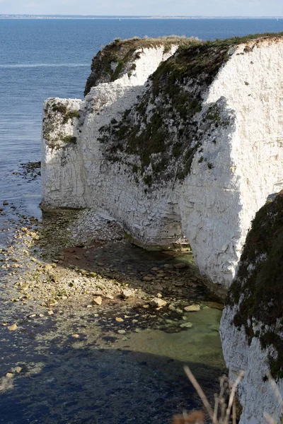 Widok Old Harry Rocks Handfast Point Wyspie Purbeck Dorset — Zdjęcie stockowe