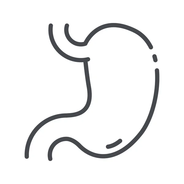 Ikon Garis Dari Tampilan Organ Perut Manusia Simbol Layanan Kesehatan - Stok Vektor
