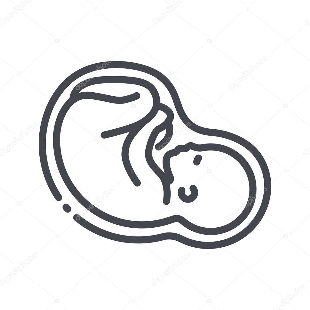 Vector childhood and pregnancy line icon isolated on transparent background. Embryo sign