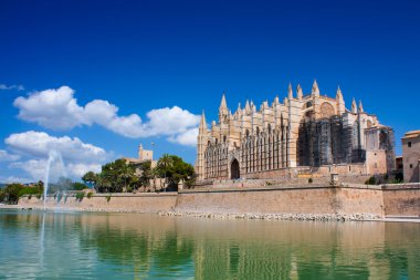 Cathedral Mallorca clipart