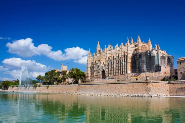 Cathedral Mallorca — Stock Photo, Image