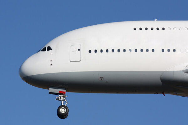 Nosu of huge plane