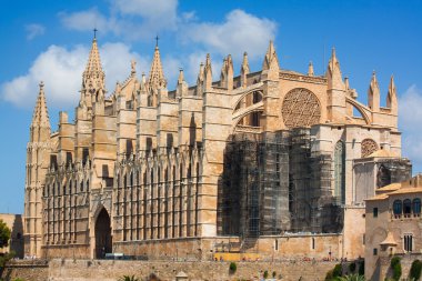 Katedral