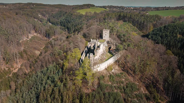 Helfenburk Ruin Medeltida Slott Centrala Böhmen Tjeckien — Stockfoto