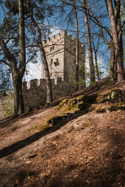 Helfenburk Ruin Medeltida Slott Centrala Böhmen Tjeckien — Stockfoto