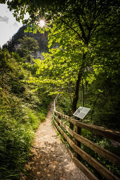 Bautiful Lammerklamm Gorge Salzburg Region Austria — Stockfoto