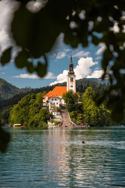 Lago Esloveno Mais Famoso Bled Com Igreja Maria — Fotografia de Stock