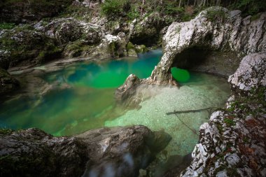 Slovenya 'nın Triglav Ulusal Parkı' ndaki Mostnica geçidinde renkli yeşil su nehri