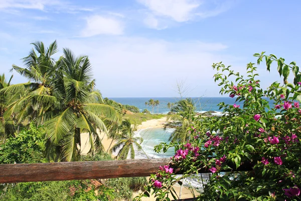 Tangalle beach — Stock fotografie