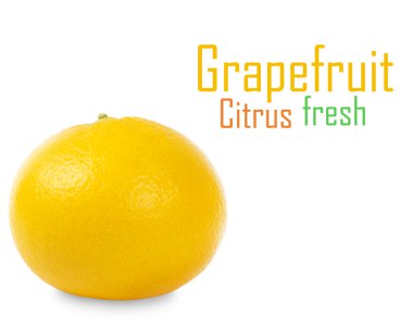 greyfurt