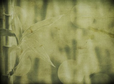 Grunge bambu arka plan