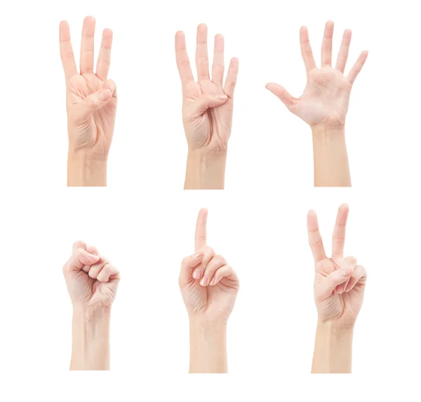 Liczenie kobieta ręce (0-5) na białym tle — Zdjęcie stockowe
