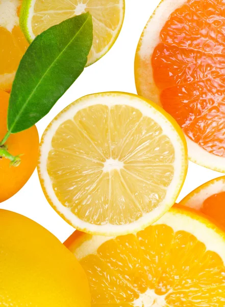 Mix of citrus slice — Stock Photo, Image