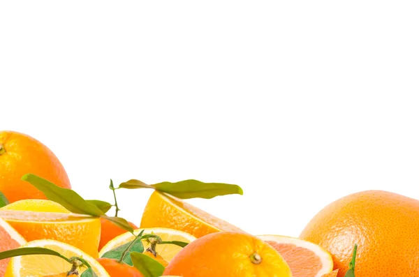 柑橘類の果物 — ストック写真