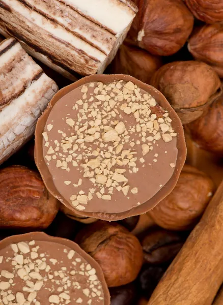 Closeup of coffee beans, cinnamon and nuts — Stock Photo, Image