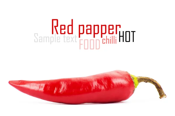 Red hot chilli pepper on white — Stock Photo, Image