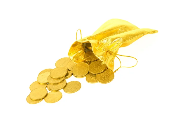 Money coins in golden bag isolated on white — Stock Photo, Image