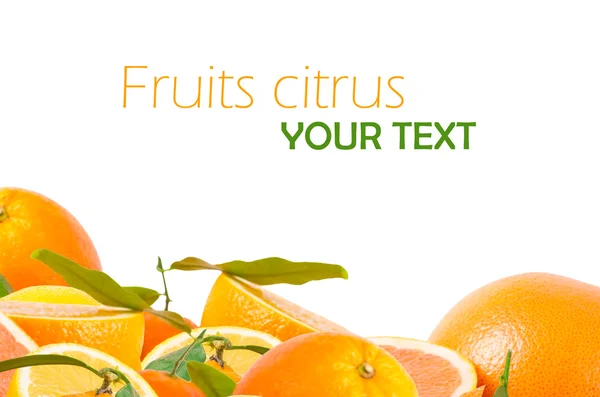 Fruit citrus — Stockfoto