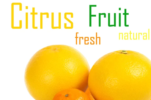 Citrus fruit — Stock Photo, Image