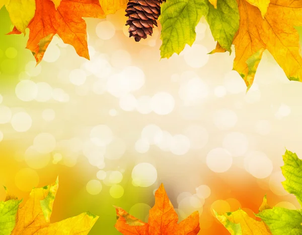Autumn colored falling leafs — Stock Photo, Image