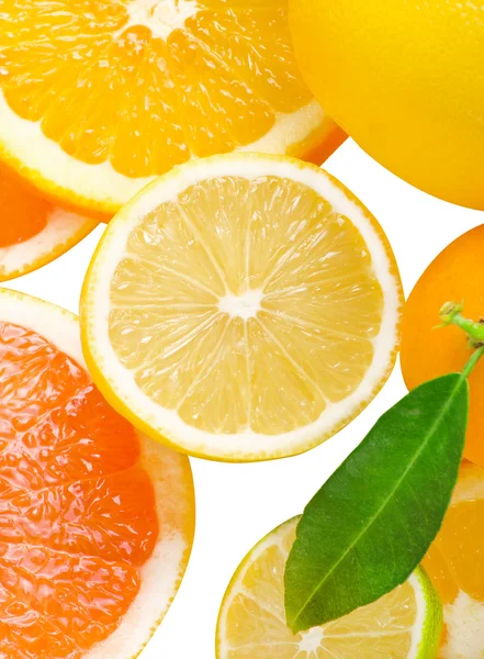 Blandning av citrus segment — Stockfoto