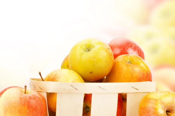 Čerstvé a barevné jablka — Stock fotografie