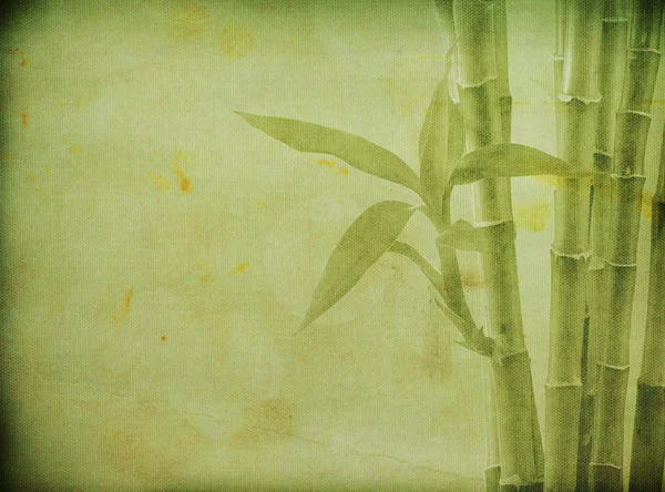 Grunge bamboo background — Stock Photo, Image