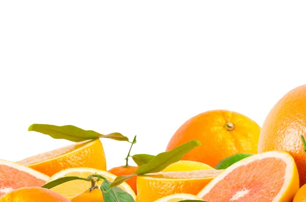 Fruit citrus — Stockfoto