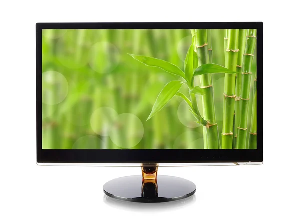 Bambu no monitor isolado no branco — Fotografia de Stock