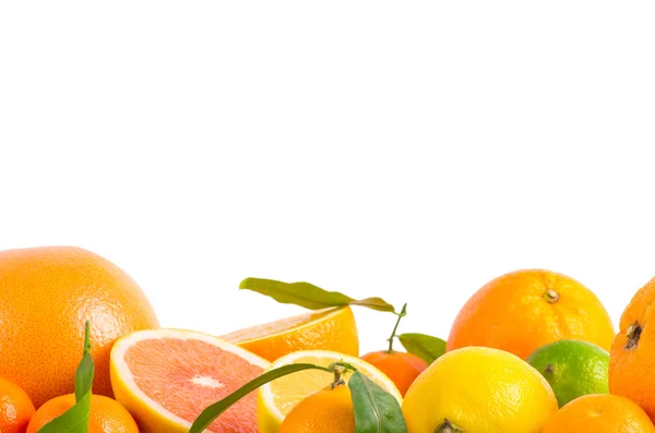 Fruit citrus — Stockfoto
