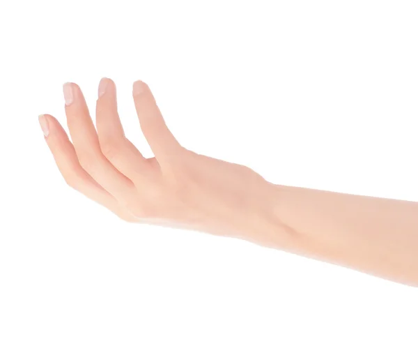 Boş açık kadın eli — Stok fotoğraf