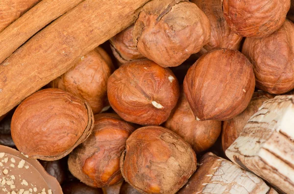 Coffee beans, cinnamon and nuts — Stock Photo, Image