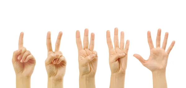 Counting woman hands (1 to 5) — Stock Photo, Image