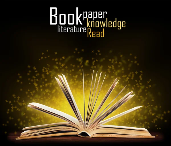 Книжка. Відкрита книга з особливим світлом. Освіта — стокове фото