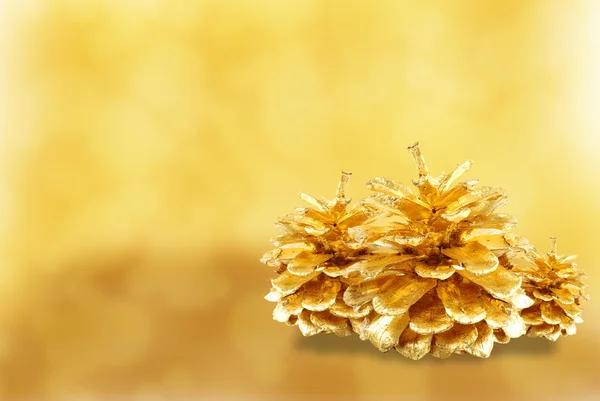 Cone de pinho dourado isolado em branco — Fotografia de Stock