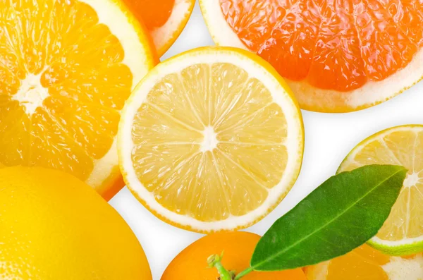 Mix of citrus slice — Stock Photo, Image