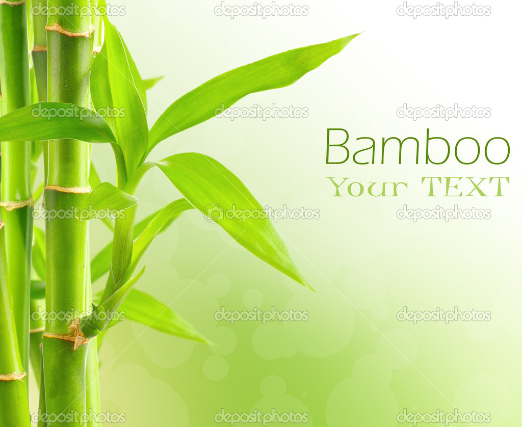 Bamboo background with copy space