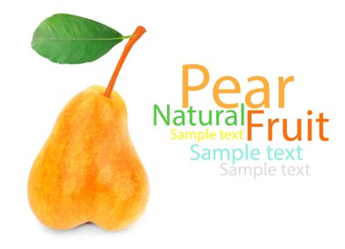 Beyaz zemin üzerinde olgun sarı armut