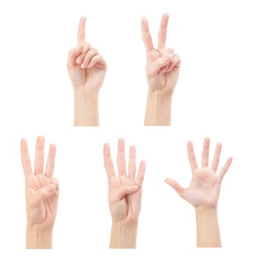 Beyaz arka plan üzerinde izole kadın eller (1-5) sayma