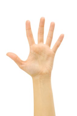 Beyaz arka plan üzerinde izole kadın el (palm)