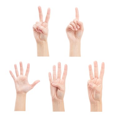 Counting woman hands (1 to 5) isolated on white background clipart